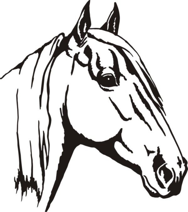 599x676 Noble Horse M310502.jpg Svgs Horse