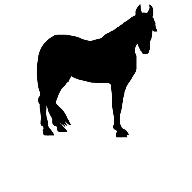 640x640 Metal Wall Art Silhouettes Animals