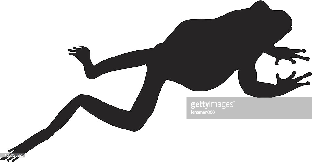 1024x533 Silhouette Clipart Frog'06985