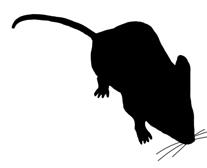 709x577 Mouse Clip Art