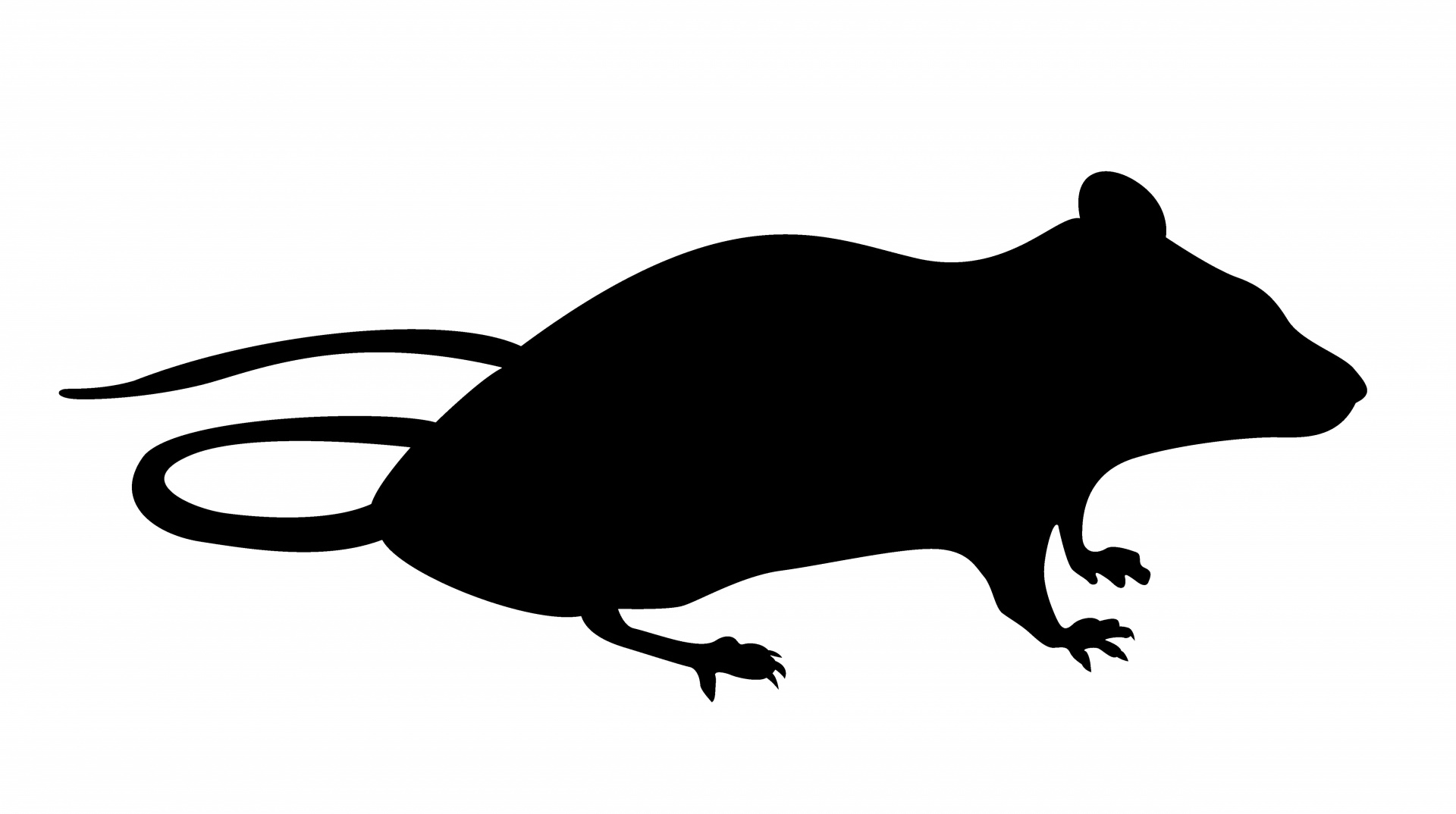 1920x1074 Mouse Silhouette Sitting Free Stock Photo