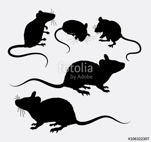 500x468 Mouse And Rat Animal Silhouette. Good Use For Symbol, Logo, Web
