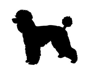 340x270 Poodle Decal Etsy