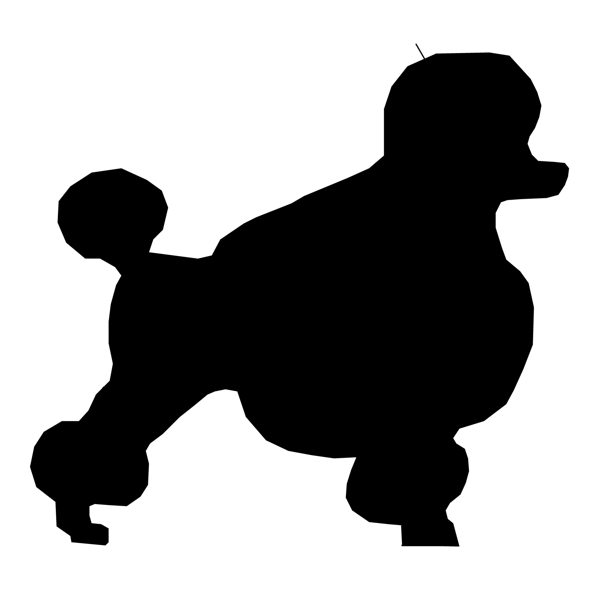 1920x1920 Dog Silhouette Drawing 07 Free Stock Photo