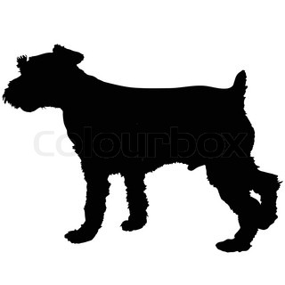 320x320 Miniature Schnauzer Dog Stock Vector Colourbox