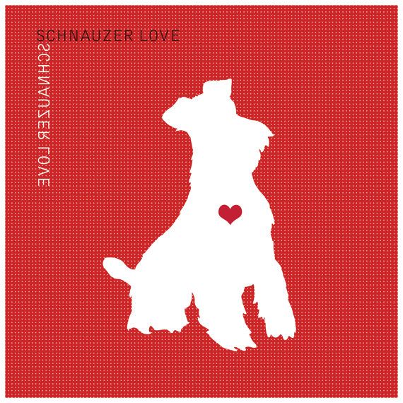 570x570 Schnauzer Love Is The Best Kind Of Love By Bslgraffiti On Etsy
