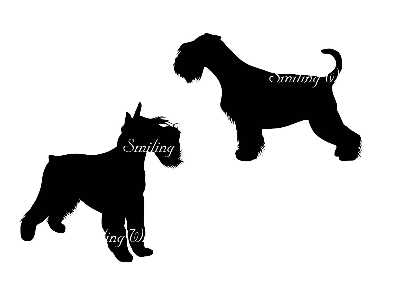 1588x1123 Mini Schnauzer Svg Miniature Schnauzer Silhouette Vector Graphic