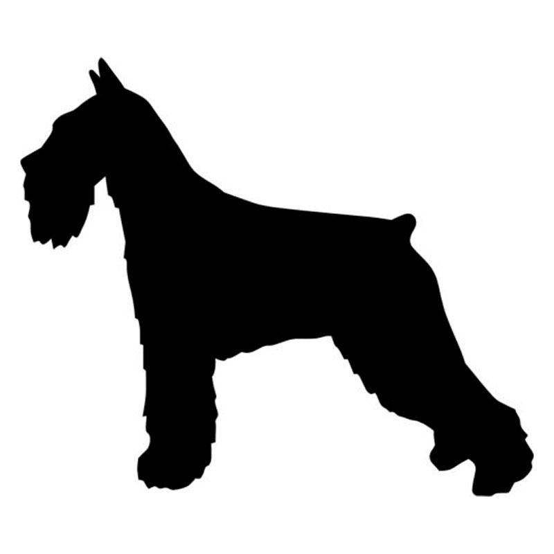 800x800 Hotmeini 2 Miniature Schnauzer Dog Breed Silhouette Home Windows
