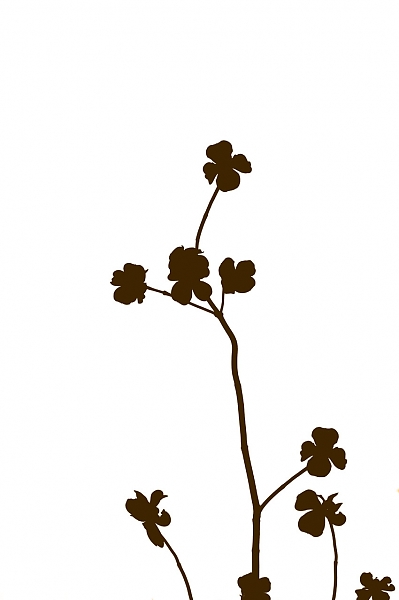 399x600 Dogwood Print Botanical Wall Art Silhouette Modern Minimalist