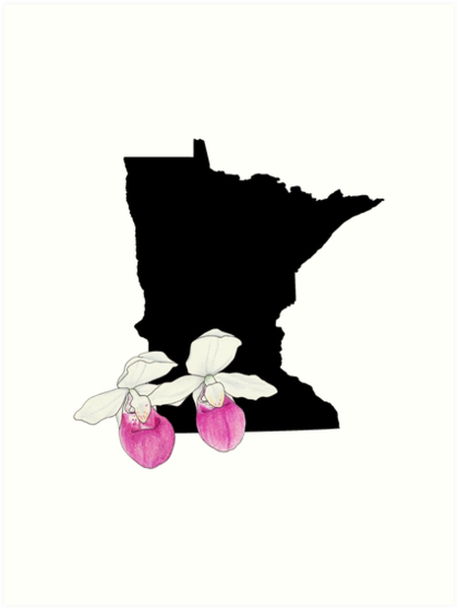 413x549 Minnesota Silhouette And Flowers Art Prints By Ursularodgers