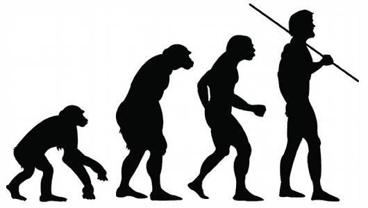 530x300 Projecting Human Evolution 5 Traits We Might Possess In