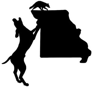 300x284 Coon Hunting Missouri State Decal, Vinyl Truck, Window Stickers