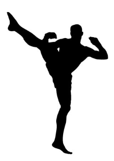 235x330 Mma Fighter 4 Decal Sticker