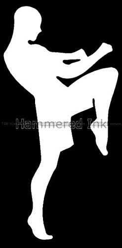 247x500 Mma Fighter Silhouette Die Cut Vinyl Car Amp Truck Decal Amp Window