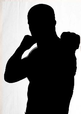 272x382 Utah Mma Fighter Profile