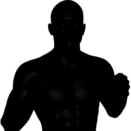 440x440 Fightcard Mma Galla