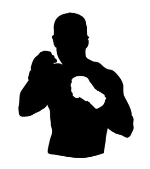 294x330 Mma Fighter 2 Decal Sticker