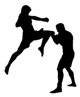 271x330 Mma Flying Knee Decal Sticker