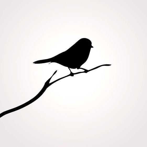 561x561 Mockingbird Silhouette Tattoo Design Silhouette Tattoos, Black