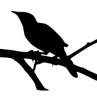 320x320 Mockingbird In Silhouette Clipart