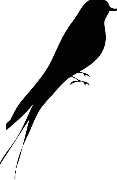 Mockingbird Silhouette at GetDrawings | Free download