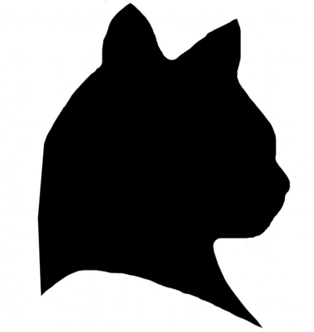 1000x1060 Eva Luated Eva Reviews Things