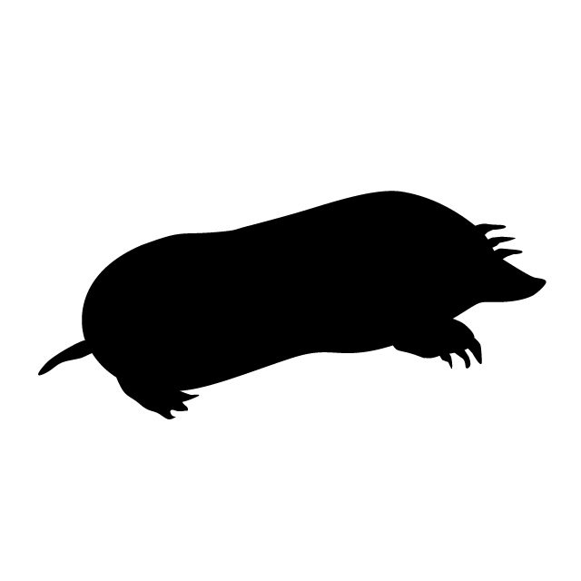 640x640 Molar Animal Silhouette Free Illustrations