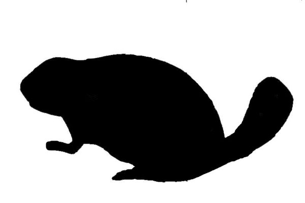 600x400 Naturemapping Products