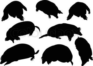 320x229 Silhouette Animal On White Background Stock Vector Colourbox