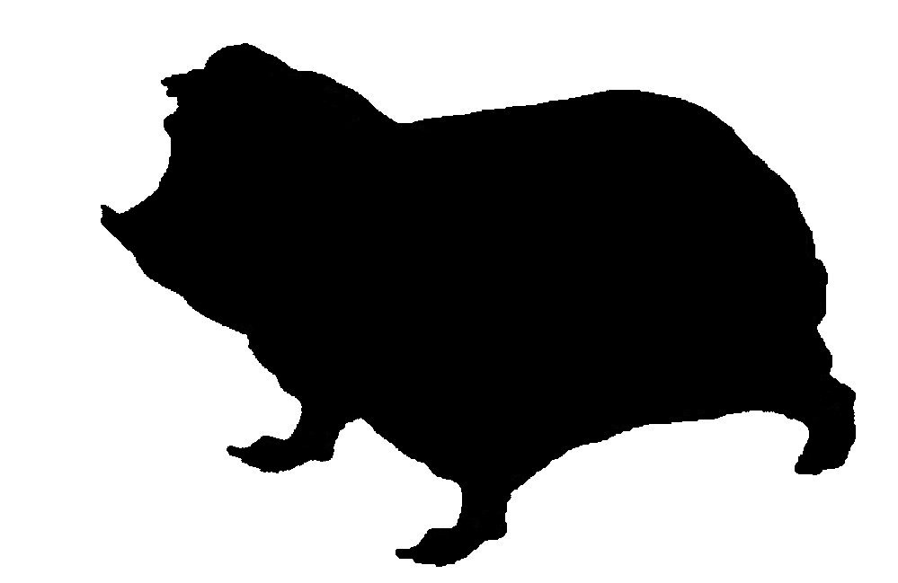 999x649 Jack Thorley On Twitter My Contribution To The Scientific World