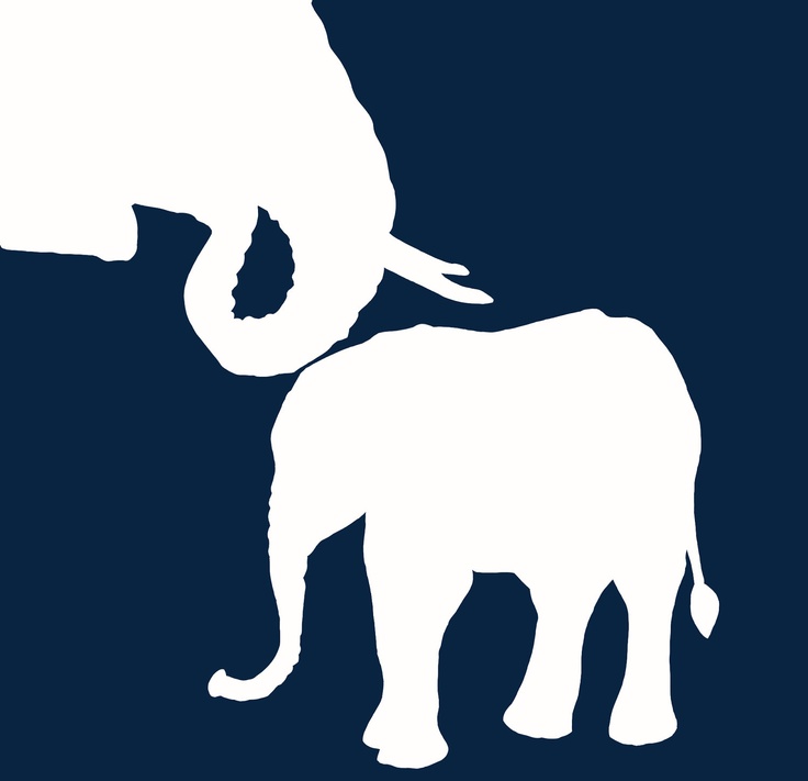 736x711 106 Best Elephant Canvas Art Ideas Images On Elephants