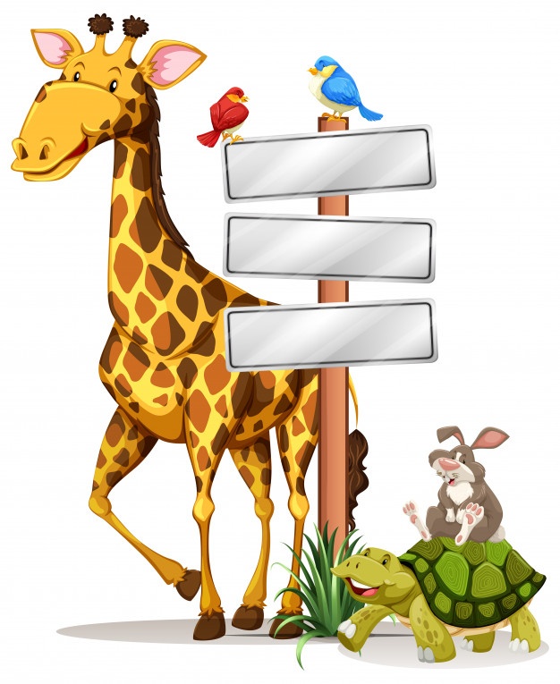 626x765 Giraffe Vectors, Photos And Psd Files Free Download