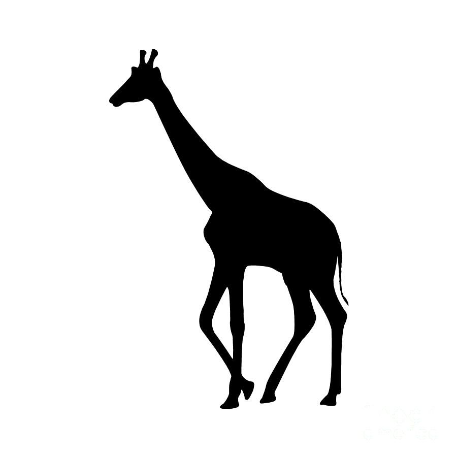 900x900 Black And White Giraffe Clipart