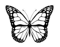 236x187 Free Butterfly Printable Amp How To Use With Silhouette Software