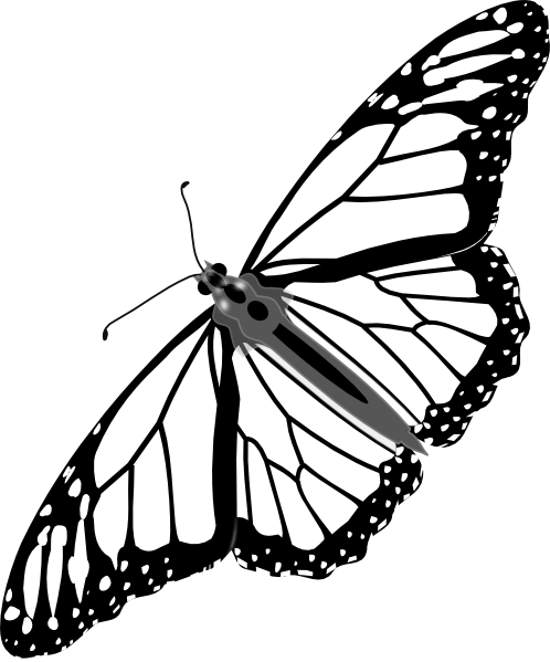 498x599 Monarch Butterfly Bw No Shadow Clip Art