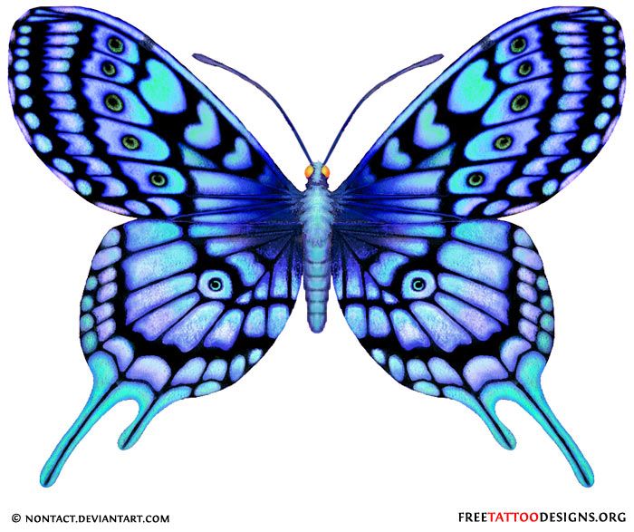 700x587 Blue Butterfly Drawing Blue Tattoo 60 Butterfly Tattoos