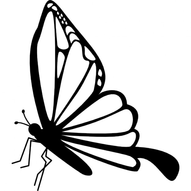 626x626 Butterfly Clipart Side Many Interesting Cliparts
