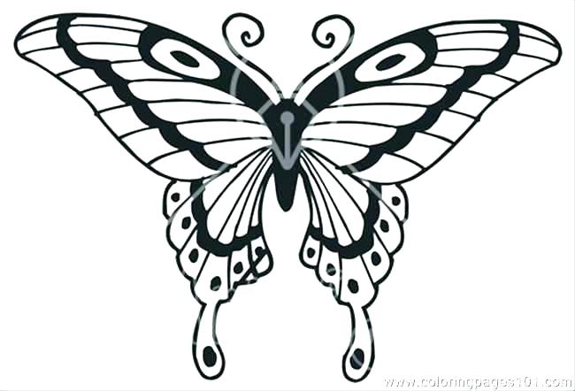 650x442 Coloring Pages Of Flowers And Butterflies Printable Coloring Pages