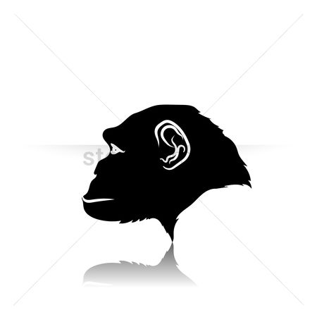 450x450 Free Monkey Face Stock Vectors Stockunlimited