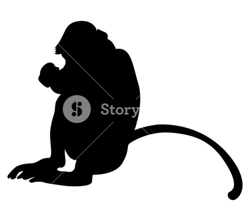 500x443 Monkey Shape Royalty Free Stock Image