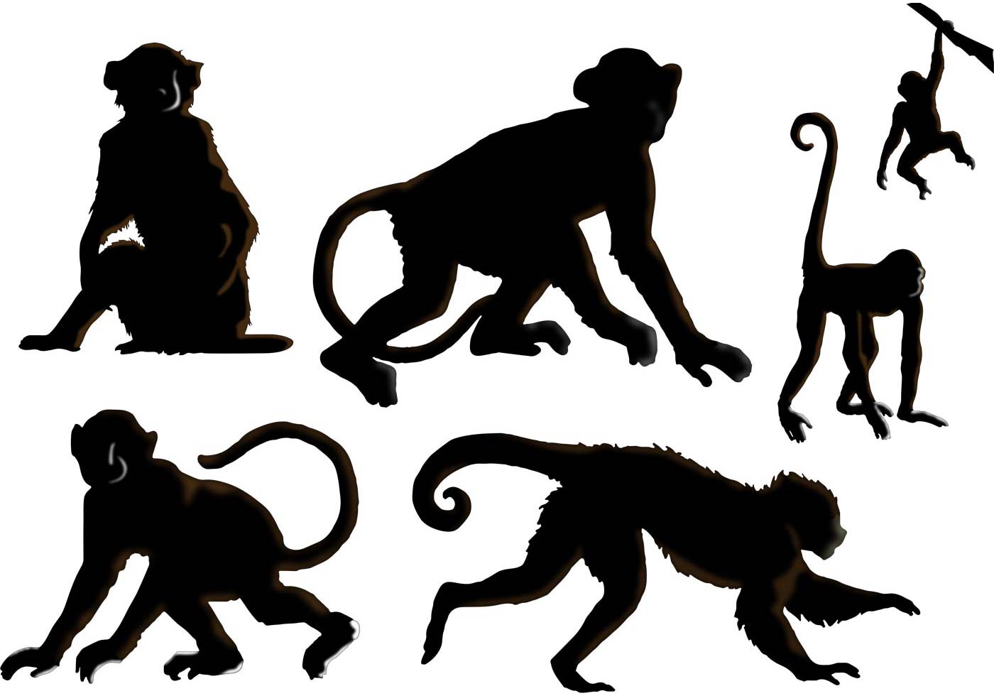 1400x980 The Monkey Vectors