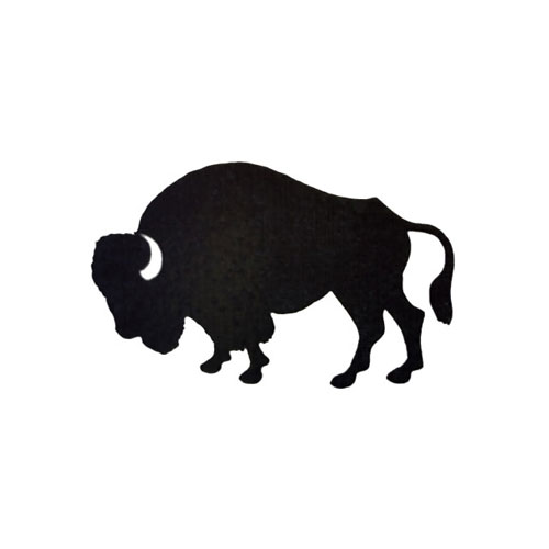 500x500 Buffalo Dance Design Gallery