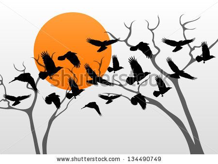450x338 Dark Crows Pack Flying Over Scary Halloween Night Moon Lighted
