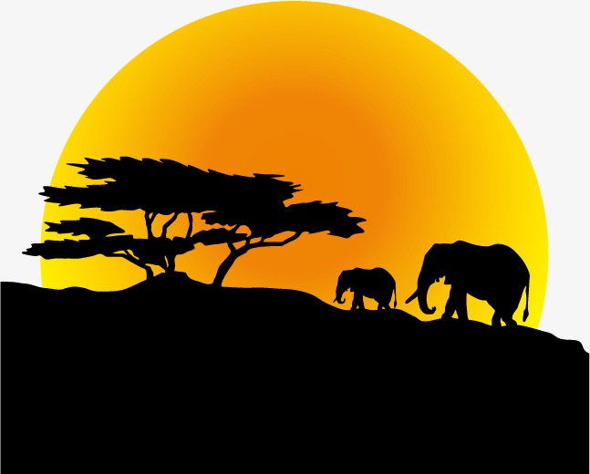 647x520 Vector Elephants Silhouette Moon, Elephant, Moon, Trees Png