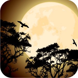 300x300 Druid Signs Meanings Your Celtic Astrology Signs On Whats Your Sign