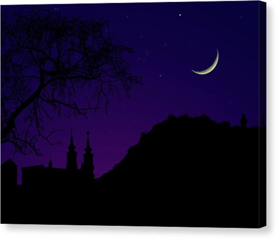 546x472 Tree.silhouette Canvas Prints