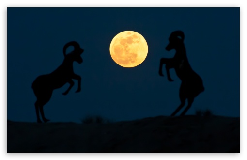 510x330 Super Moon Night 4k Hd Desktop Wallpaper For 4k Ultra Hd Tv