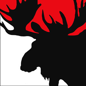 300x300 Moose Antlers Paintings