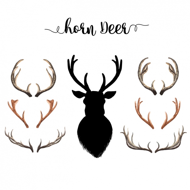 626x626 Deer Horns Vectors, Photos And Psd Files Free Download