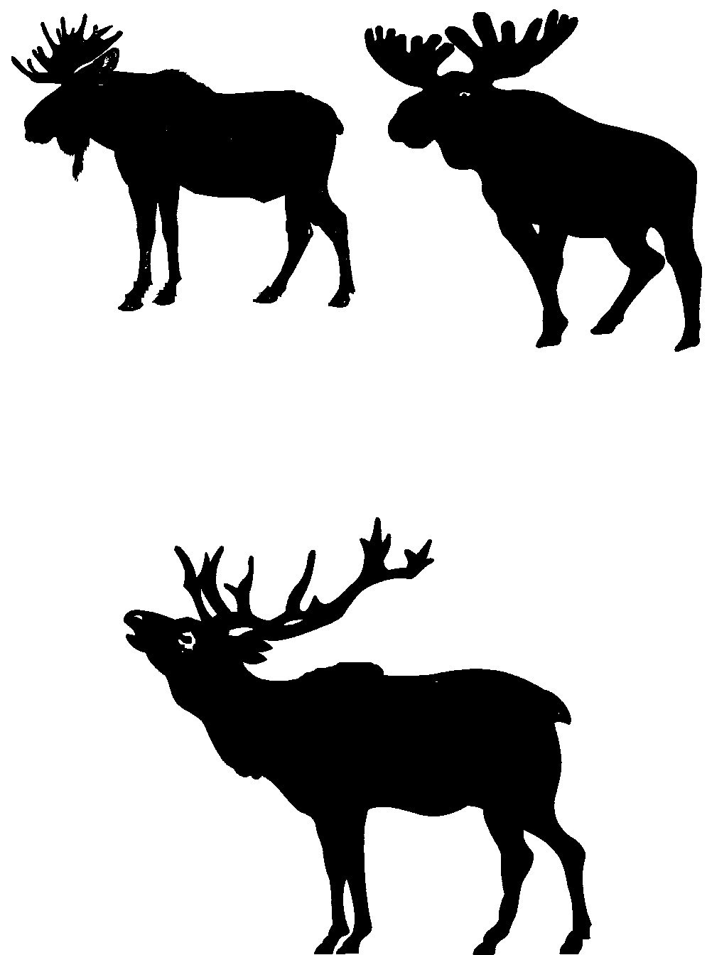 995x1344 Moose Silhouettes Art Silhouette And Moose